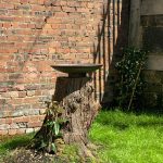 Corten steel water bowl on tree stump